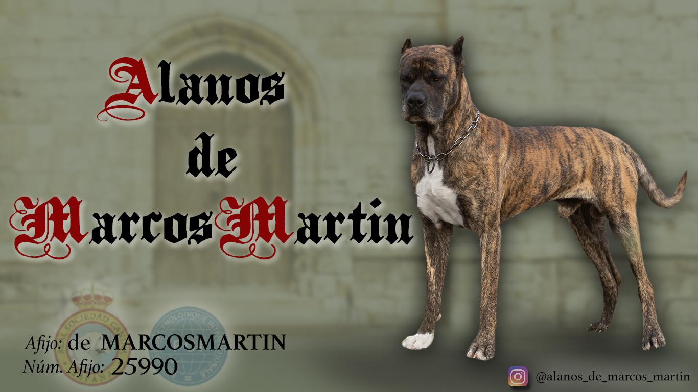 ALANOS DE MARCOS MARTÍN
